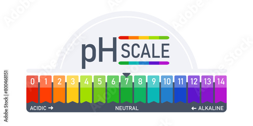 pH scale indicator chart diagram acidic alkaline measure. Acid-base balance infographic photo