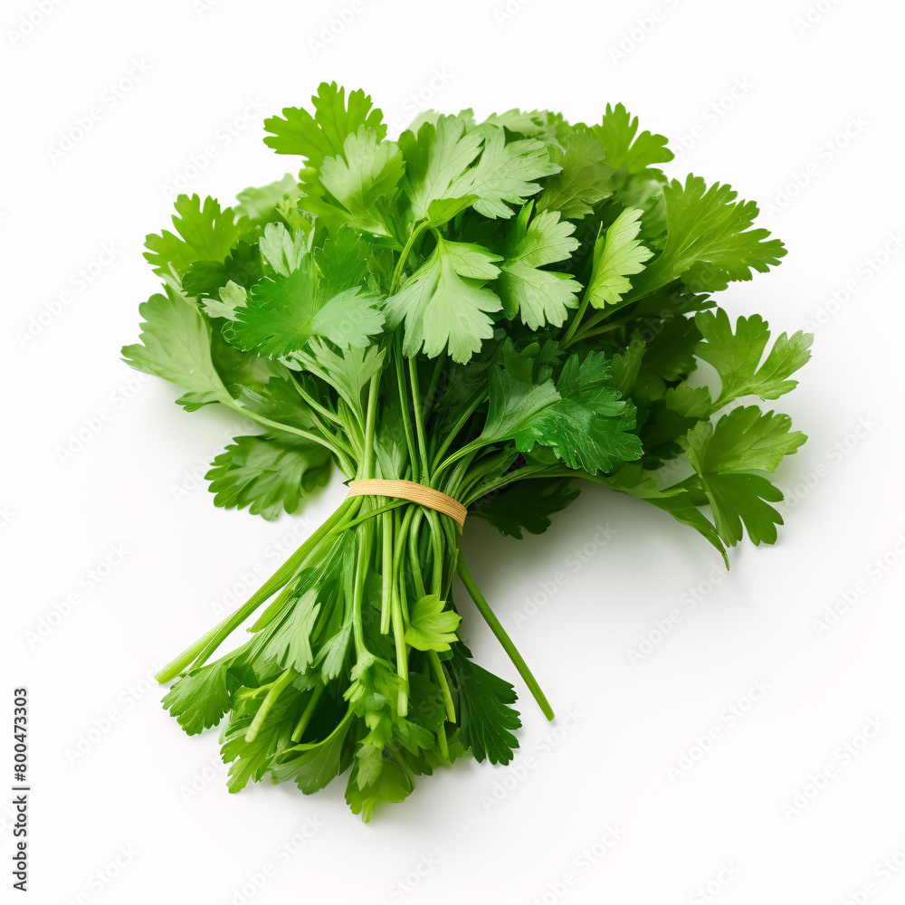 Bunch of fresh coriander leaves over white background Bunch of fresh coriander leaves over white background