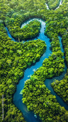 Aerial view of a river winding through a lush forest, reflecting the importance of water in environmental landscapes