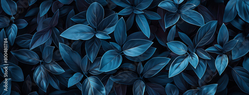 Plantas azul - Textura