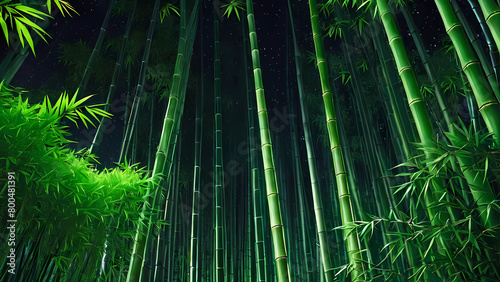 bamboo forest at night beautiful Generative AI