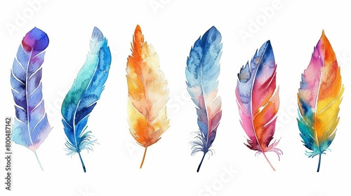Colorful bird feather watercolor set presented in a vintage decorative style against a white background. © Tahir