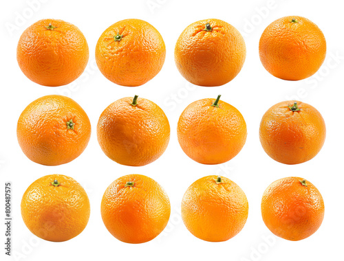 set of 12 oranges isolated on white background