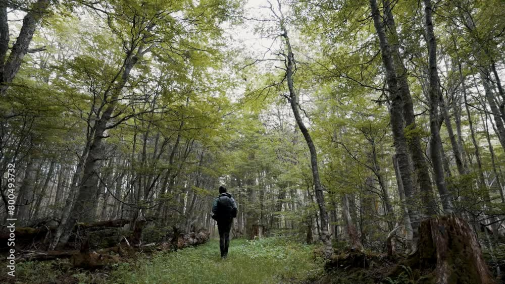 Hiking Through The Forest Near Laguna Esmeralda In Ushuaia, Tierra de Fuego, Argentina. Static Shot Hiking Through The Forest Near Laguna Esmeralda In Ushuaia, Tierra de Fuego, Argentina. Static Shot