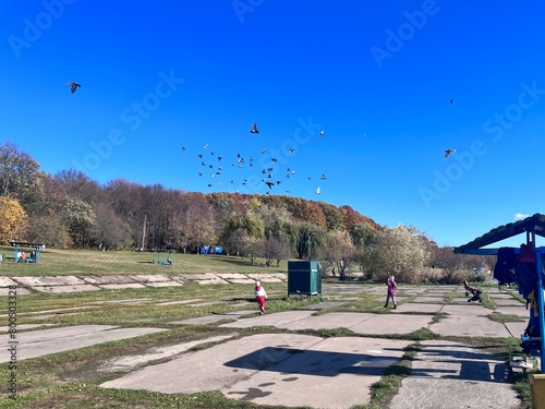 child playing in park