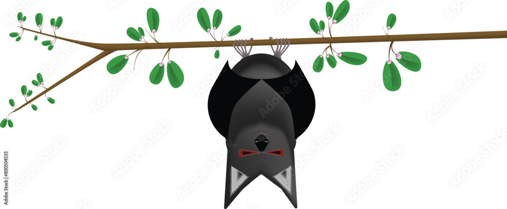 Bat Hangs From Branch of Blooming Apple Tree