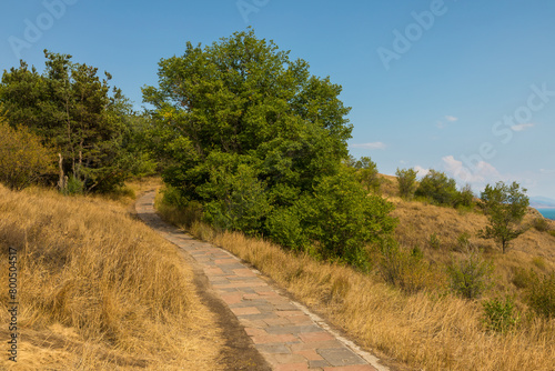 Path among the meadows. Lake Sevan area. Armenia.