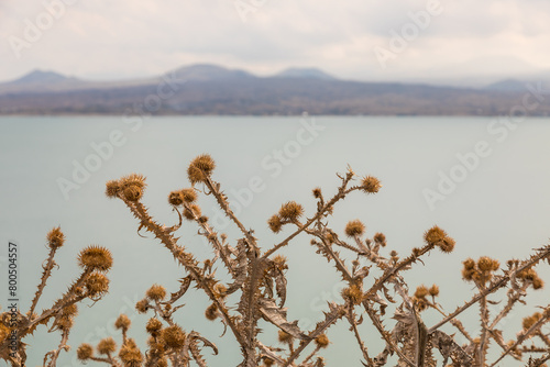 View of the biggest lake in Armenia, Sevan Lake. Mountain around.