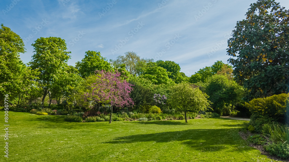 Serene springtime garden with lush greenery and blooming trees under a clear blue sky, ideal for Earth Day and nature-related concepts