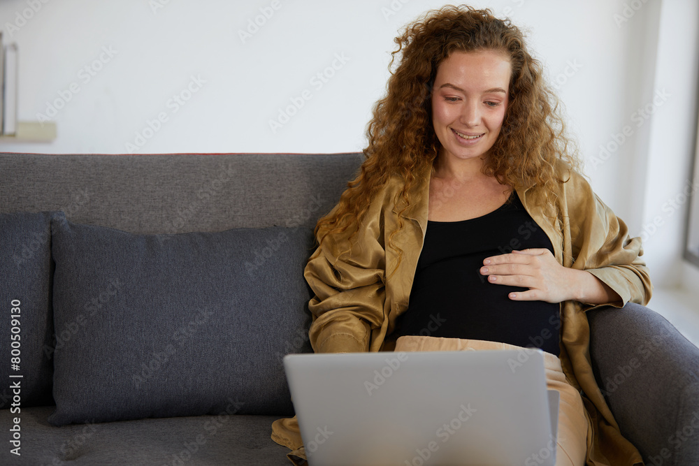 pregnant woman sitting on sofa and working on laptop computer in the office pregnant woman sitting on sofa and working on laptop computer in the office
