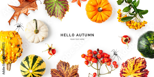 Pumpkin and rowan berries hello autumn text isolated on white background. © ifiStudio