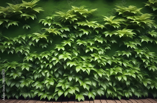 Green wall foliage.