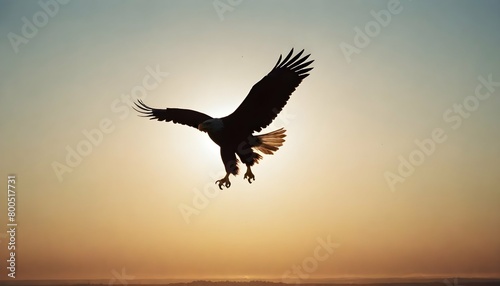 Eagle Silhouette Upscaled 155 © Nausheen