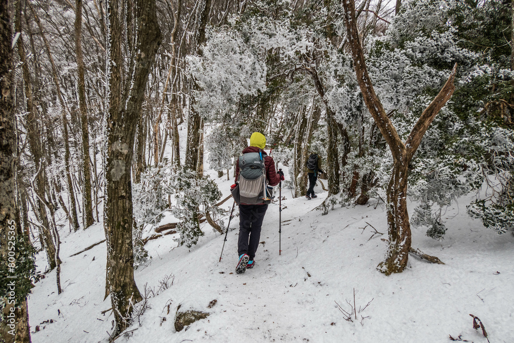 Trekking through the snow and rime ice to Mount Takami in winter, Nara, Japan