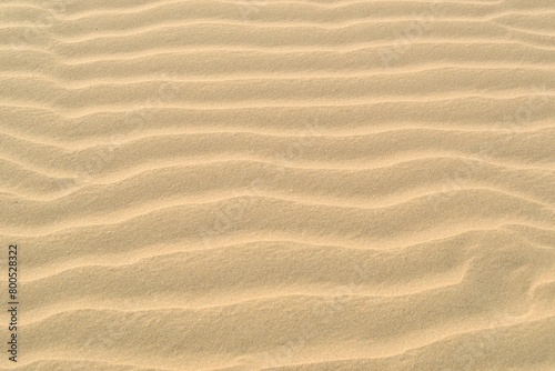 sand dunes background with ripple pattern © fatima