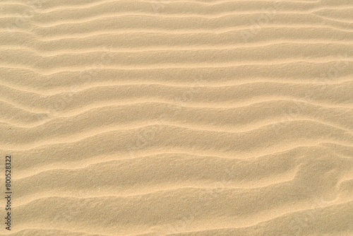Fototapeta Naklejka Na Ścianę i Meble -  sand dunes background with ripple pattern