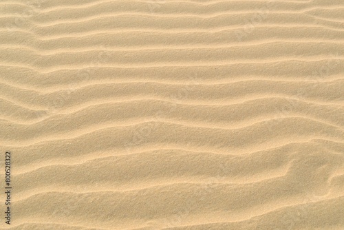 sand dunes background with ripple pattern