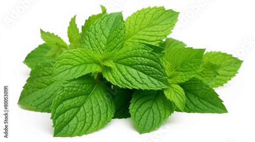 A bunch of fresh mint leaves are piled on top of each other