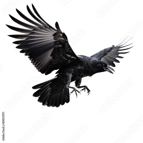 Black crow flying on a transparent background
