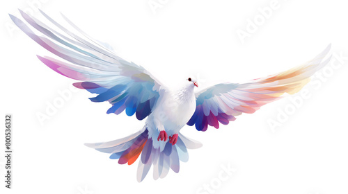 a white bird with colorful wings © RADSTPRO