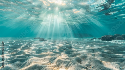 Crystal Waters, Sunlit Ocean Bed, Peaceful Underwater Scene © Ilia Nesolenyi