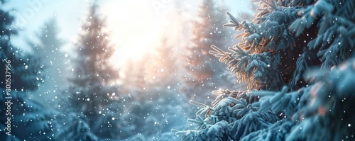 Winter Background with a Beautiful Snow Covered Trees. Enchanting Christmas Scene.
