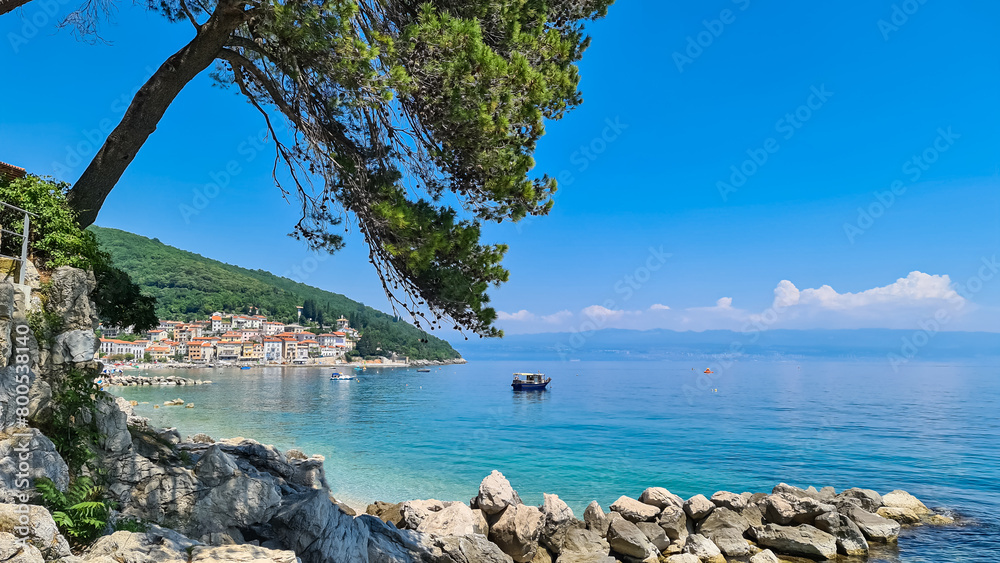 Pine tree growing at the coast of Moscenicka Draga, Croatia. There is a small town located on the shore of the Mediterranean Sea in the back. Few boats crossing the calm sea. Green hills in the back. Pine tree growing at the coast of Moscenicka Draga, Croatia. There is a small town located on the shore of the Mediterranean Sea in the back. Few boats crossing the calm sea. Green hills in the back.