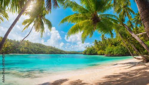 A view of a beach with palm trees and a clear blue ocean  tropical beach paradise  beautiful tropical island beach