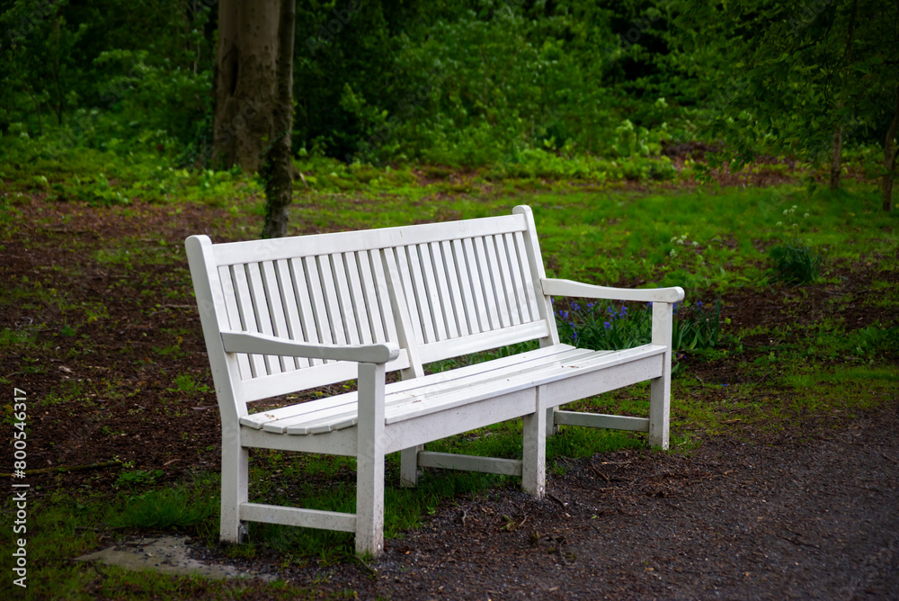 White bench in the Ockenburgh park in the center of The Hague, Netherlands White bench in the Ockenburgh park in the center of The Hague, Netherlands