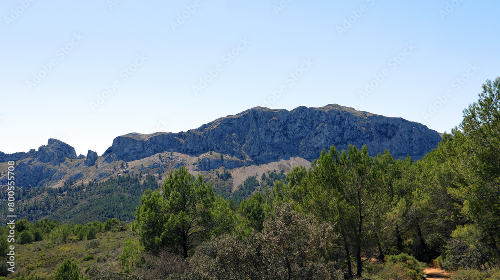 Mountain landscape, typical Spanish vegetation pine, juniper, palm trees, blue sky, sun, great place for relaxation and walks, Bernia mountains, Alicante province