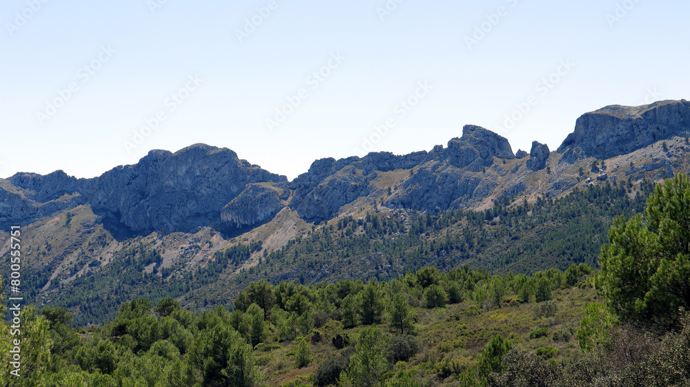 Beautiful mountain landscape, typical Spanish vegetation pine, juniper, palm trees, blue sky, sun, great place for relaxation and walks, Bernia mountains, Alicante province Beautiful mountain landscape, typical Spanish vegetation pine, juniper, palm trees, blue sky, sun, great place for relaxation and walks, Bernia mountains, Alicante province