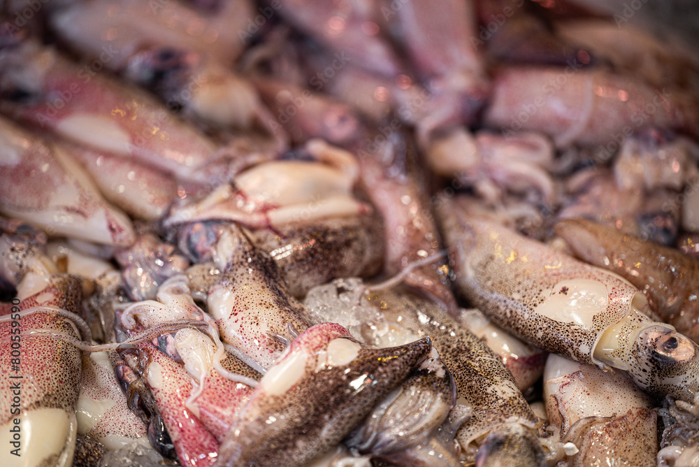 Close up of fresh calamari. Close up of fresh calamari.