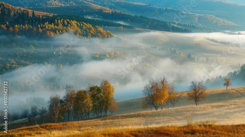 A magnificent landscape engulfed in heavy mist, with a creamy fog settling over the countryside during autumn