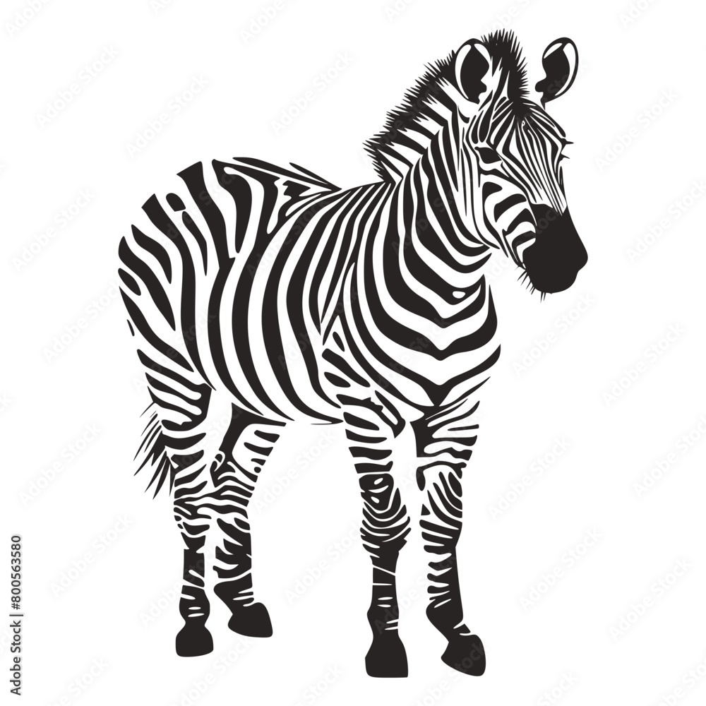 Fototapeta premium Zebra horse striped animal vector silhouette animal wild wildlife nature logo