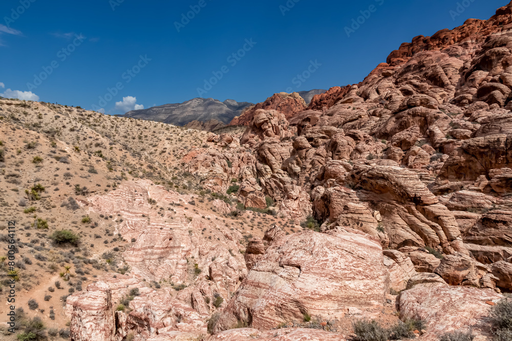 Close up view of rock formation of Aztec sandstone slickrock rock formation on the Calico Hills Tank Trail, Red Rock Canyon National Conservation Area in Mojave Desert near Las Vegas, Nevada, USA