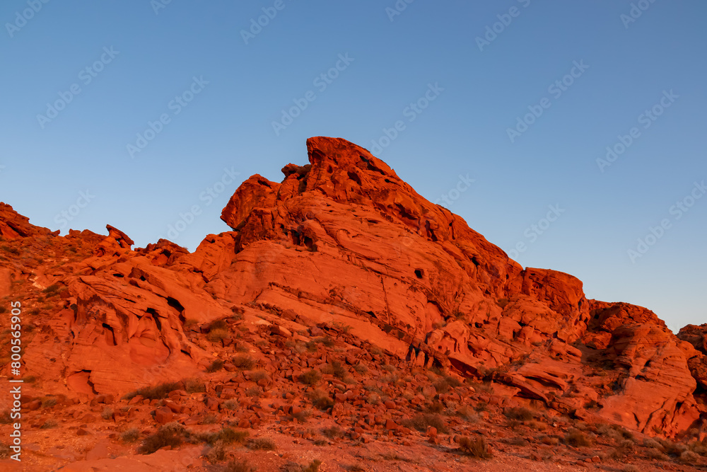 Naklejka premium Panoramic sunrise view of red and orange Aztec Sandstone Rock formations and desert vegetation in Valley of Fire State Park in the Mojave desert near Overton, Nevada, USA. Dramatic natural landscape
