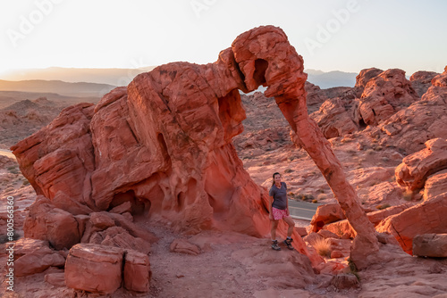Tourist woman standing next to elephant shaped Aztec Sandstone Rock formations during sunrise in Valley of Fire State Park in Mojave desert near Overton, Nevada, USA. Red rocks and stone desert