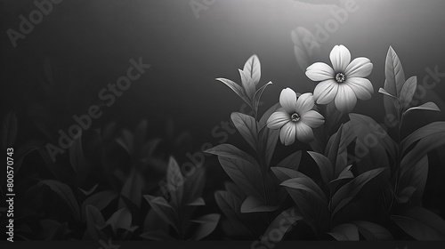   Photo of flowers against black background, lit from within by centerlight photo