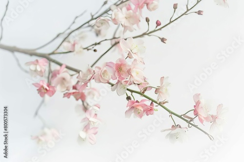 dried pink flowers on green vine delicate floral arrangement isolated