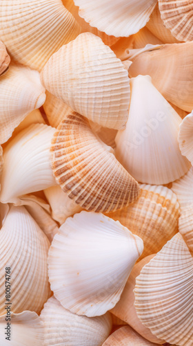 Coastal Harmony  Array of Seashells Stacked for Summer Design Inspirations