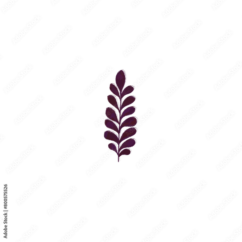 Transparent plant sprig element for design without background png Transparent plant sprig element for design without background png