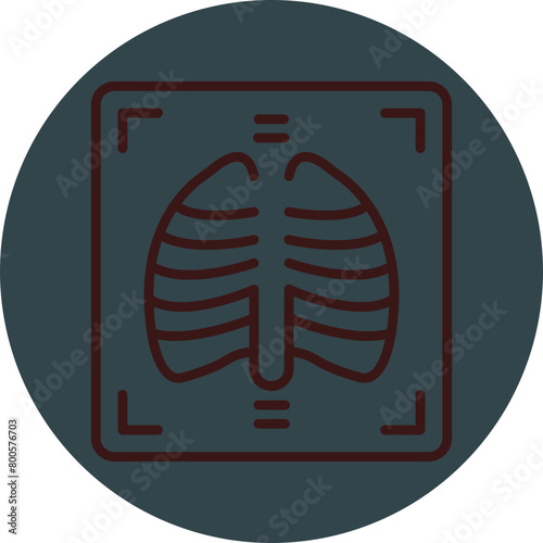 X Ray Grey Red Line Circle Icon Line Circle Icon