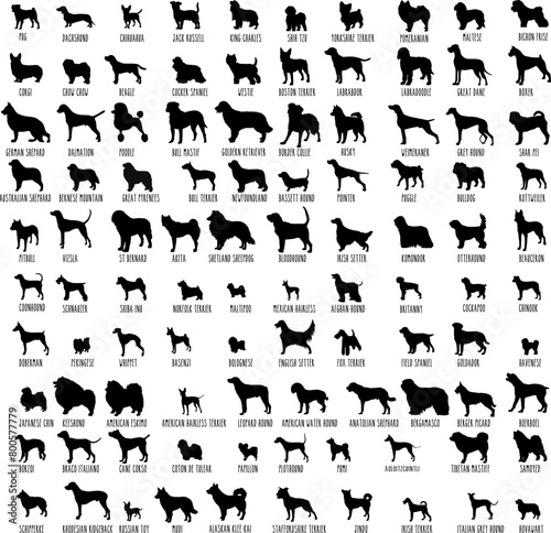 Dog Svg Bundle, Dog Cut Files, Dog Mom Svg, Dog Lover Svg,Dog Quote Svg, Dog Saying, Dog Design, Pet Svg, Pet Dog Svg, Dog Clipart