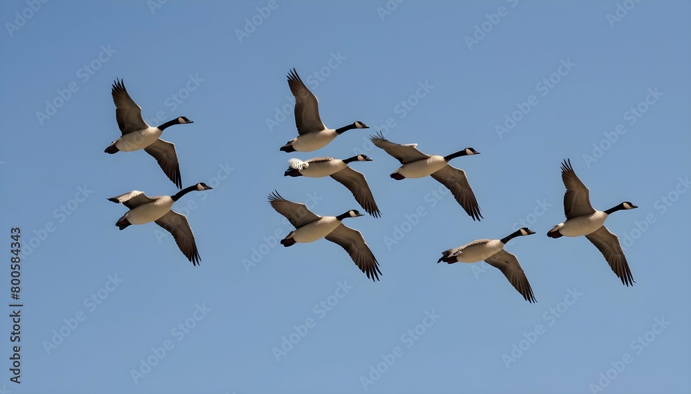 A Flock Of Geese Flying In Formation Upscaled 4