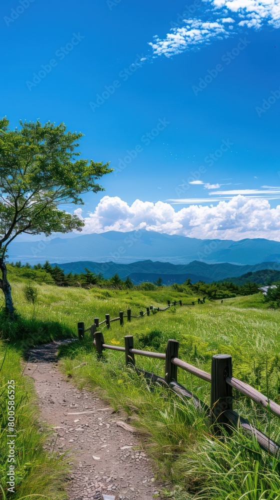 A dirt path meanders through vibrant green hills under a clear blue sky, bordered by a simple wooden fence