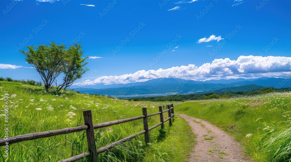 A beautiful scenic view of a mountain trail under a clear blue sky, surrounded by lush greenery and serene nature