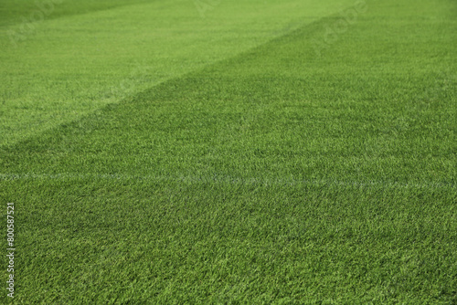  Green stadium grass. Natural grass of a soccer stadium or football stadium. Close-up of court grass texture with natural lawn. Sports background with copy space. © Acento Creativo