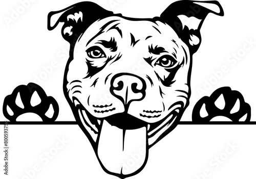 Dog Svg , Dog Cut Files, Dog Mom Svg, Dog Lover Svg,Dog Quote Svg, Dog Saying, Dog Design, Pet Svg, Pet Dog Svg, Dog Clipart