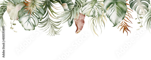 Watercolor botanical seamless tropics border. Green exotic jungle on a white background. Floral decoration for print design. Tropical fresh forest painted background. photo