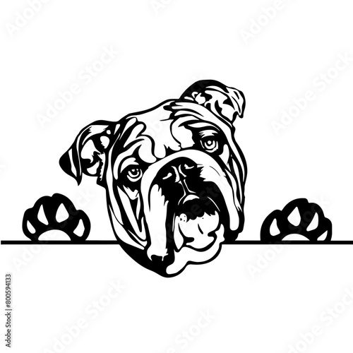Dog Svg , Dog Cut Files, Dog Mom Svg, Dog Lover Svg,Dog Quote Svg, Dog Saying, Dog Design, Pet Svg, Pet Dog Svg, Dog Clipart